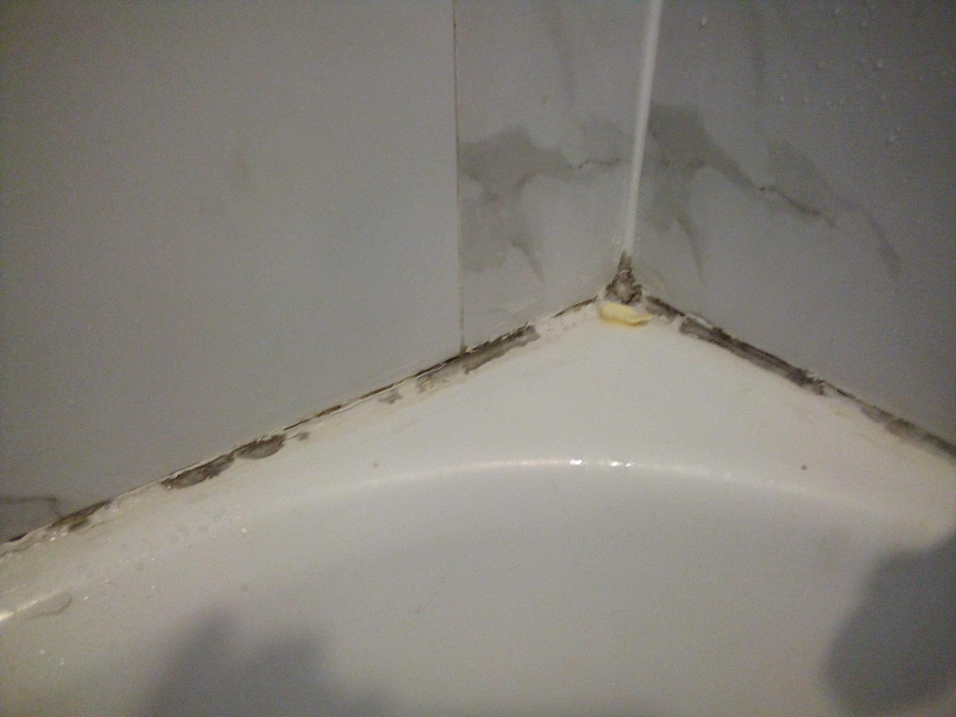 Black mold in bathtub, super gross