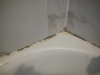 Black mold in bathtub, super gross