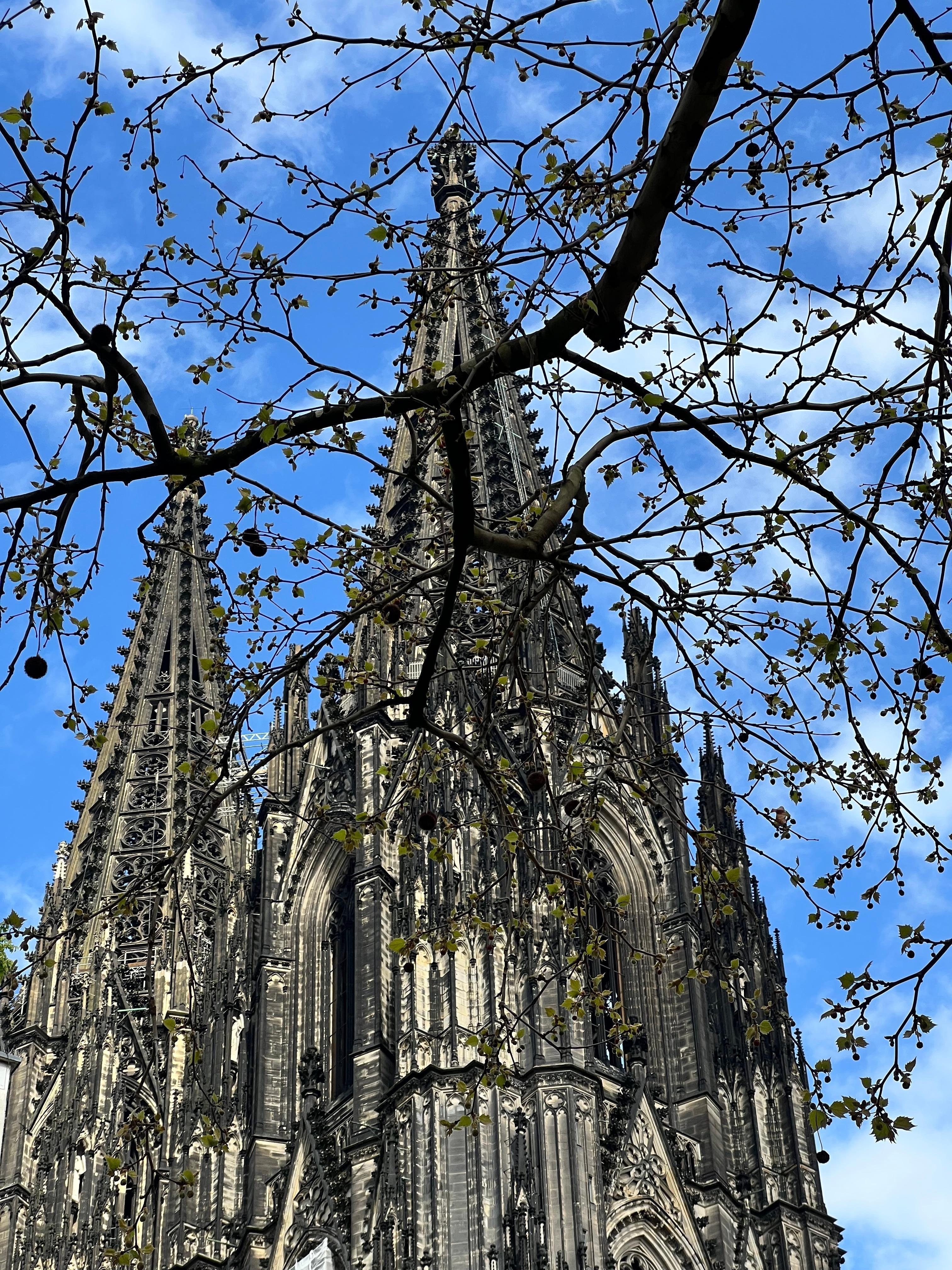 Twin Spires of the Cathedral