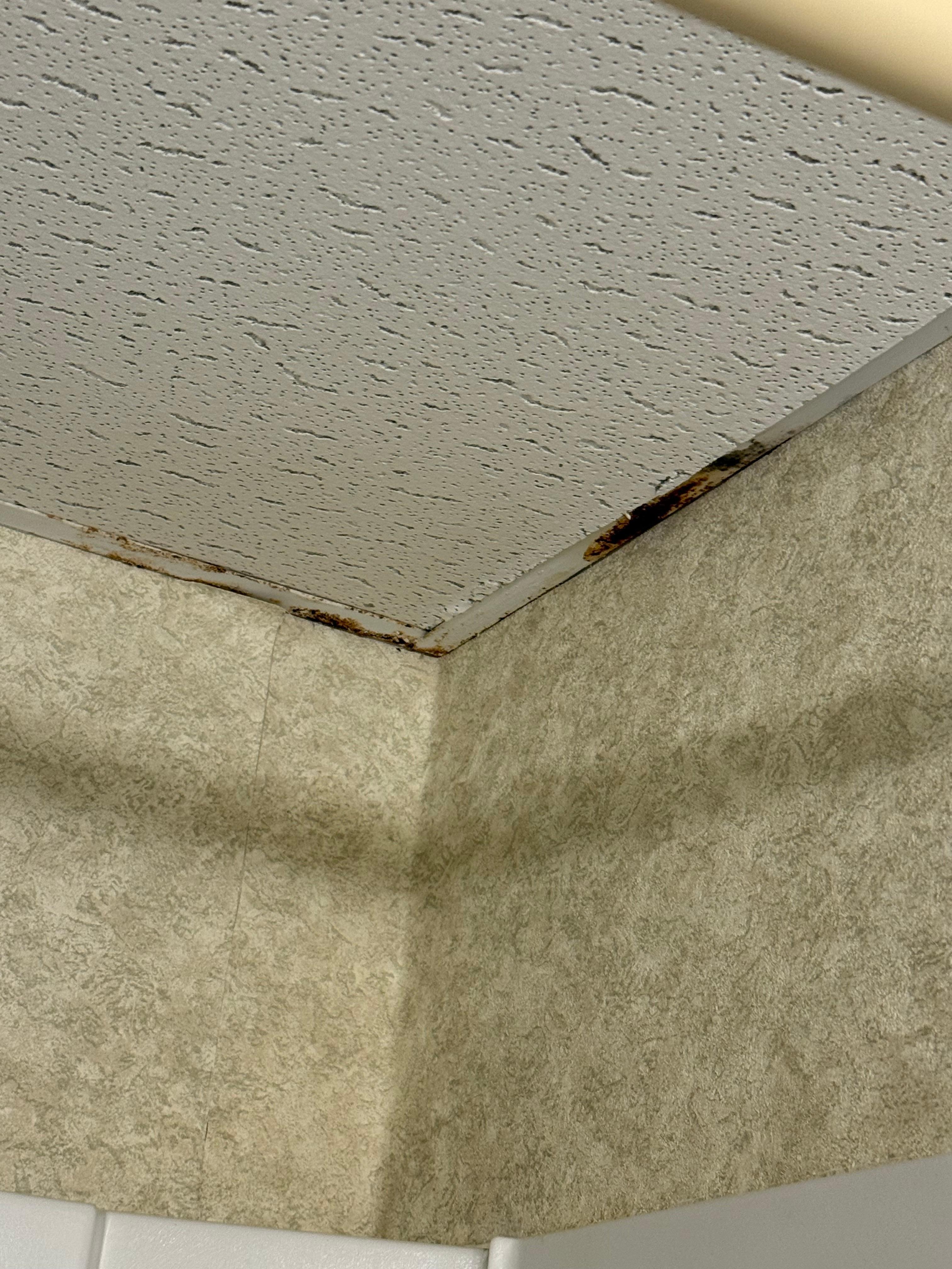 Bathroom ceiling