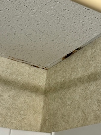 Bathroom ceiling