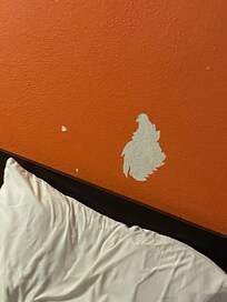 Paint from wall gone but the paint was touched up the next day.