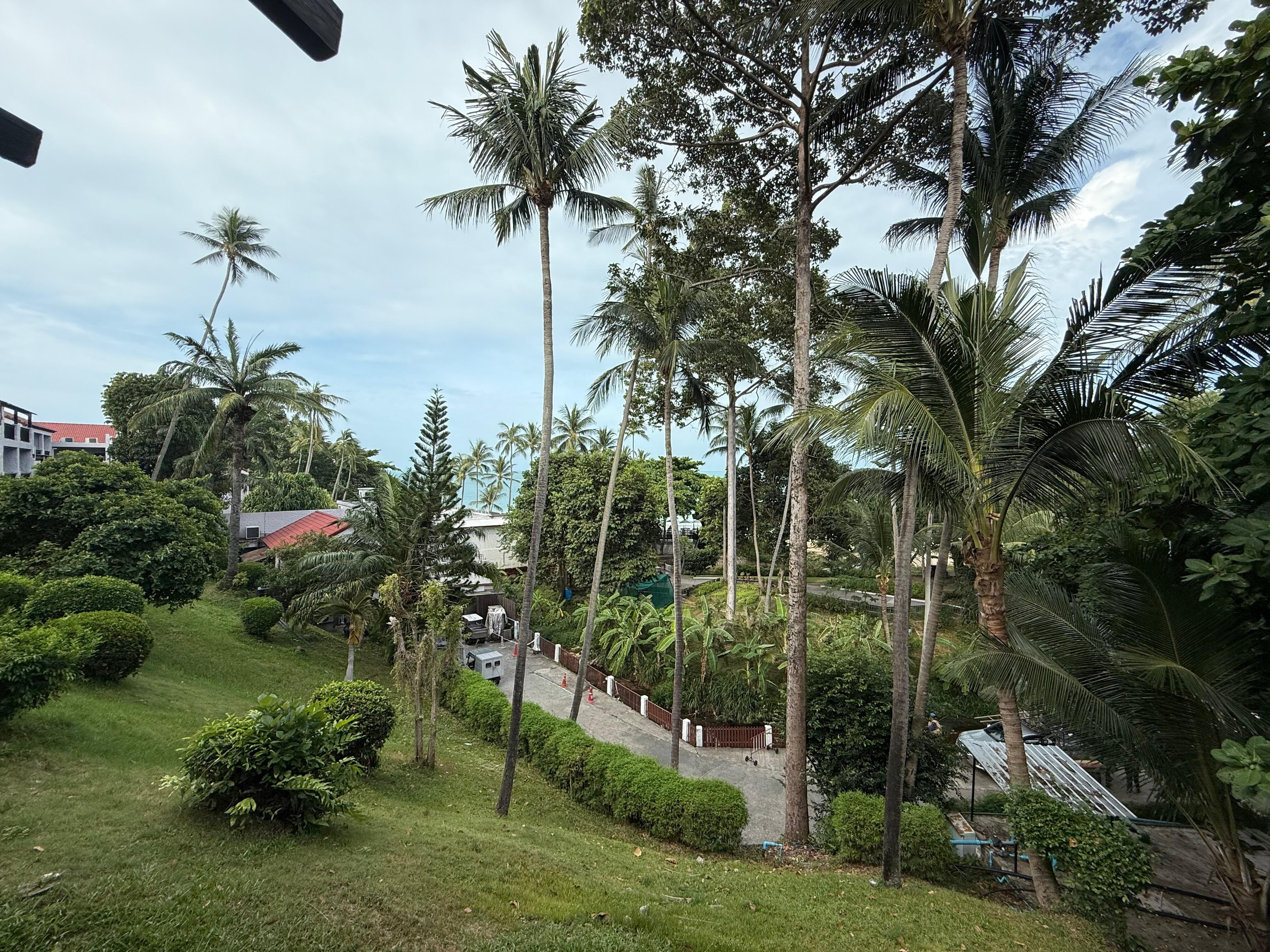 See view from my room