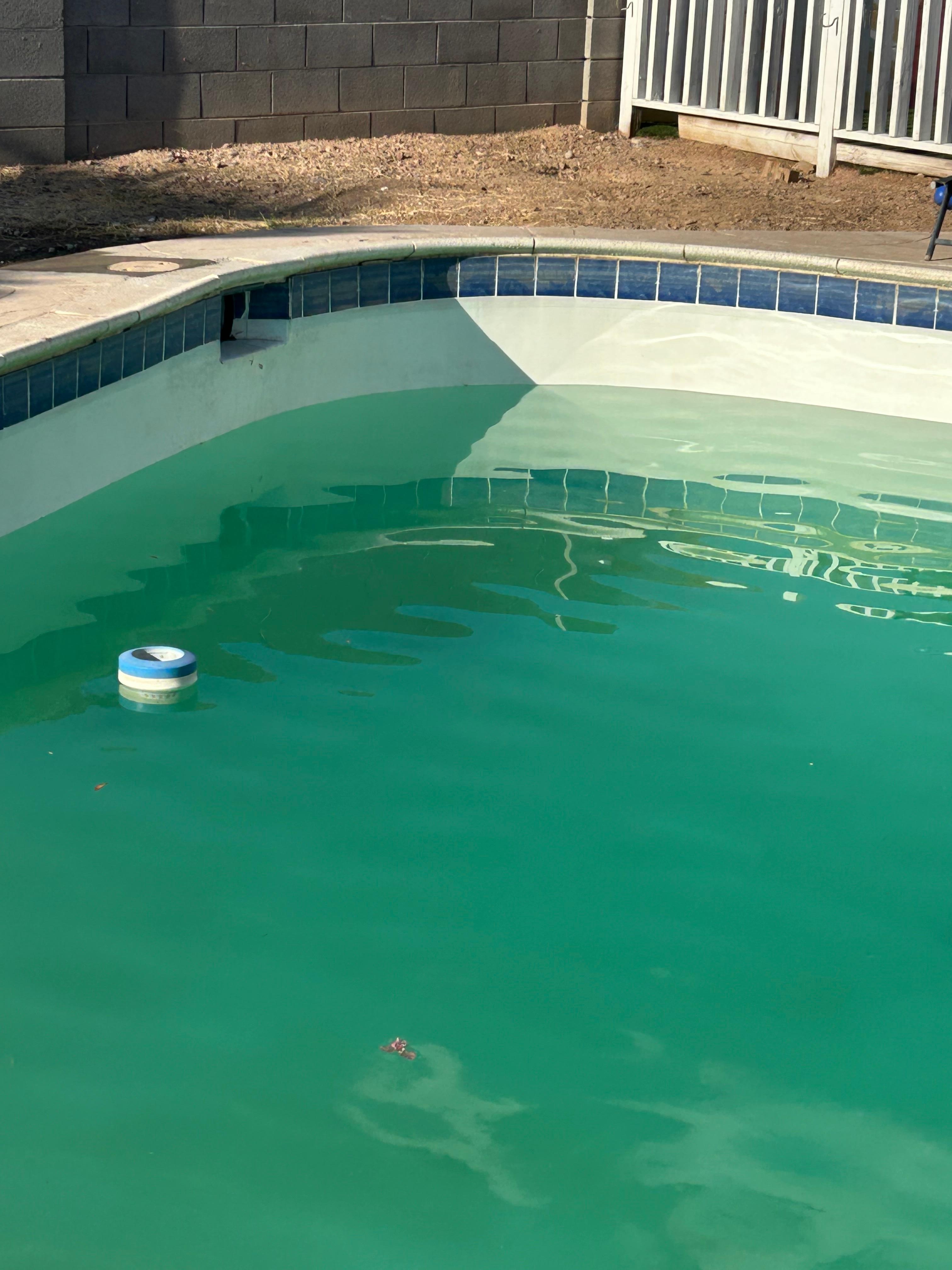 They drained the pool and started to refill