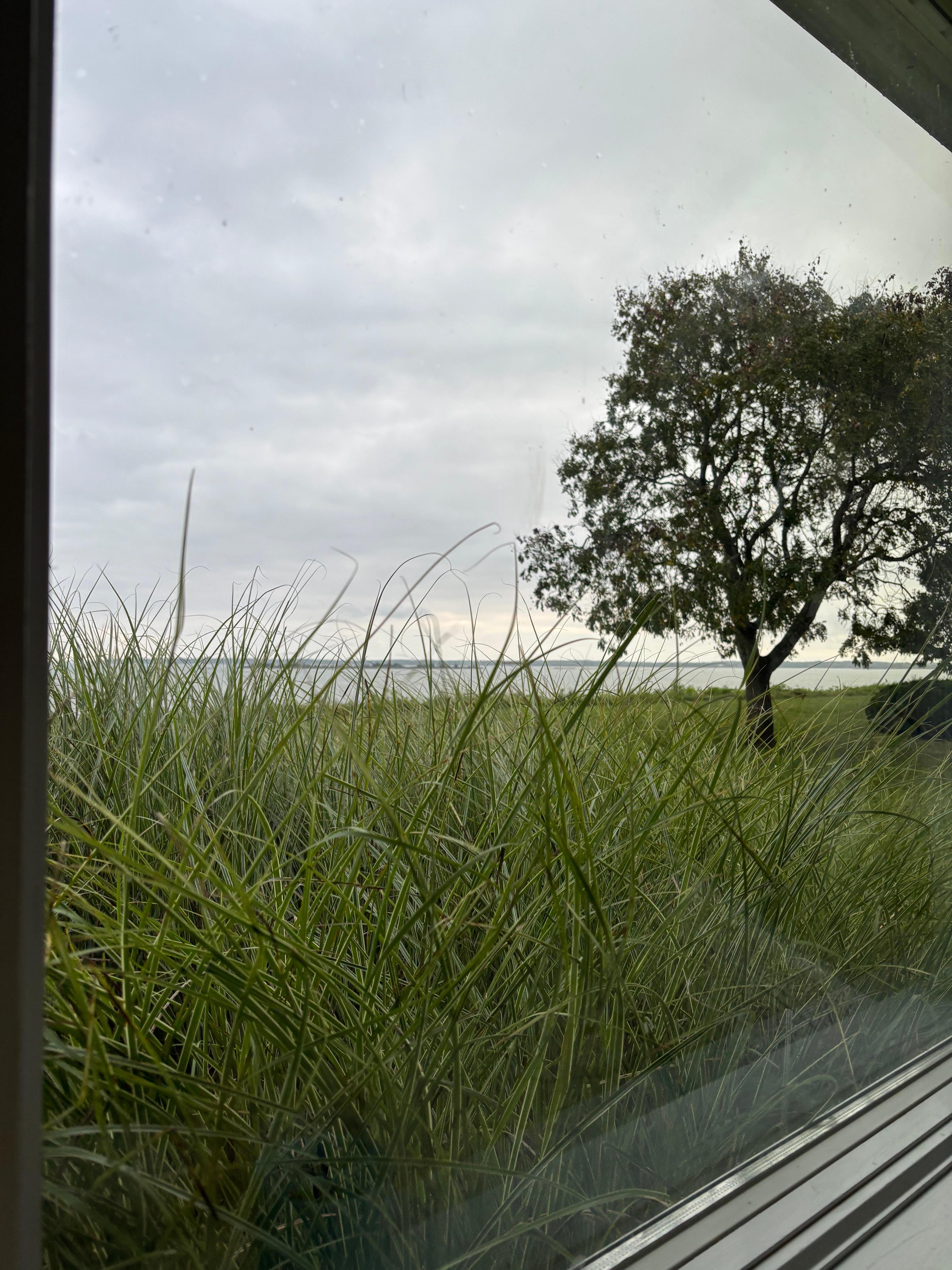 View from bay window 