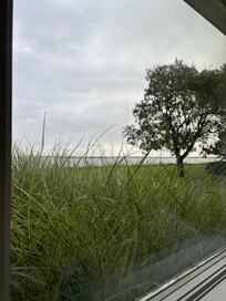 View from bay window