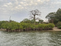 Approach view by pirogue.