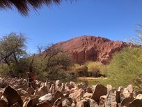 Vista desde la habitación