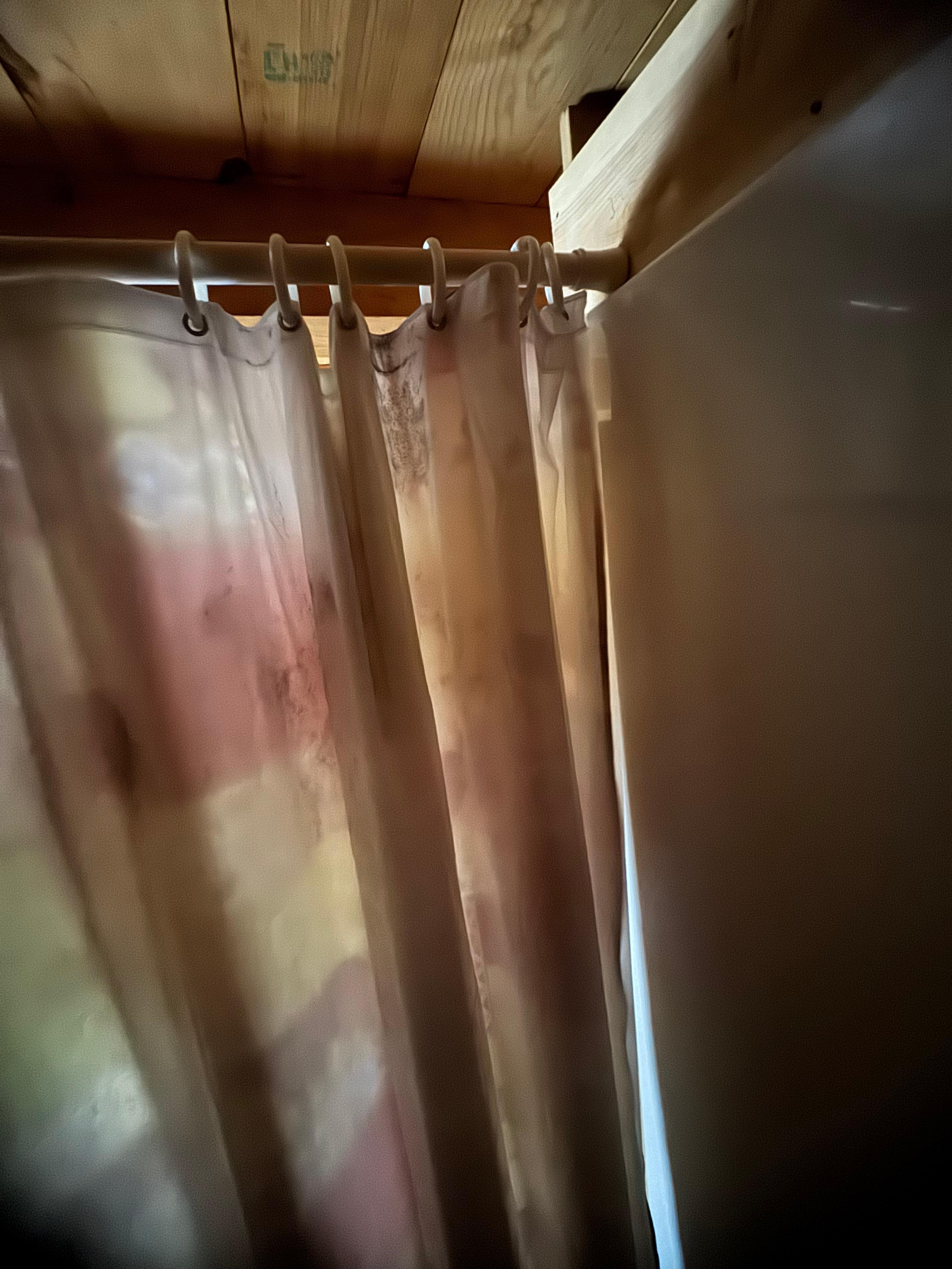 Black mold I also have a video that shows it much better. 