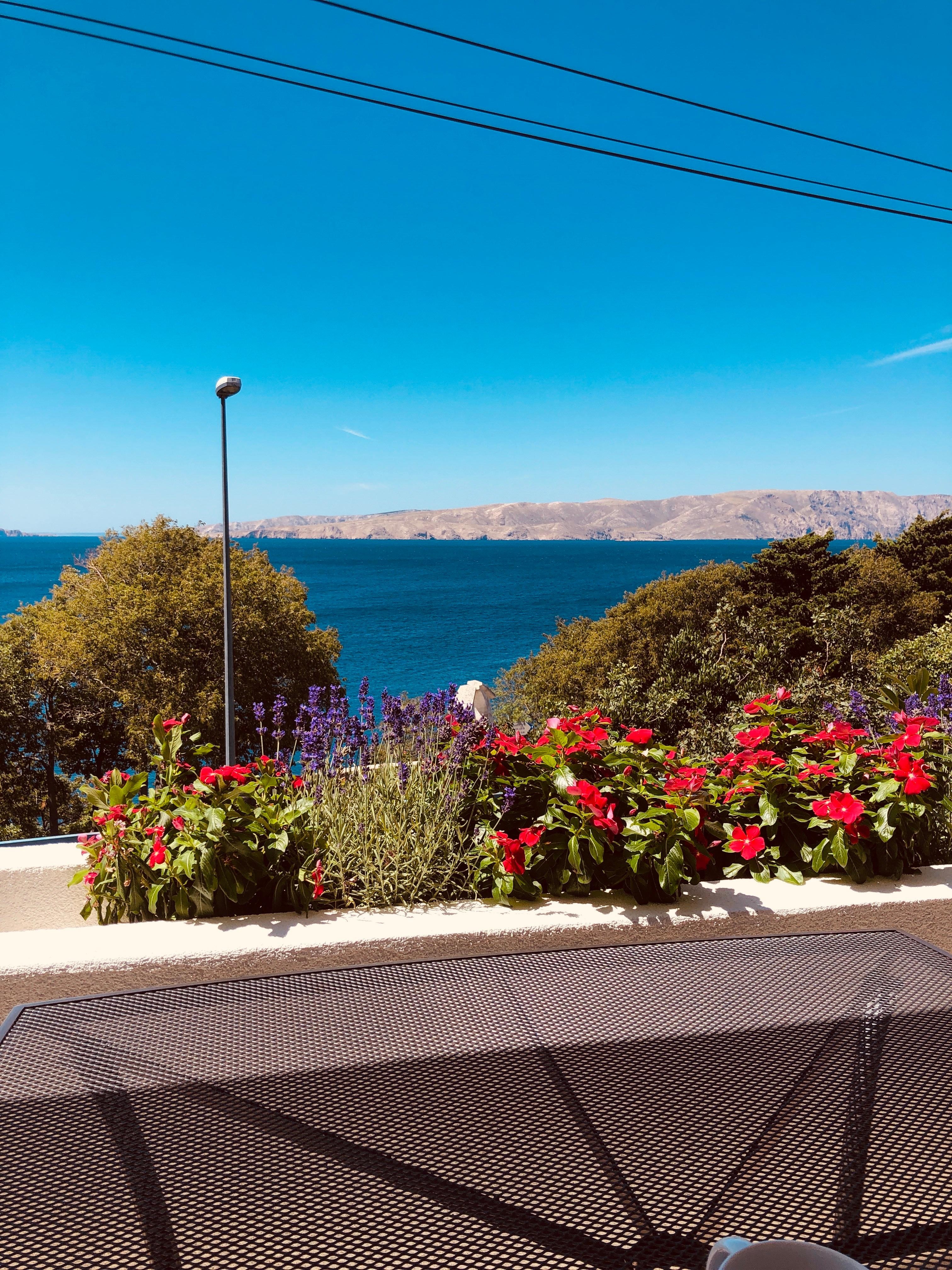 Ausblick von der überdachten Terrasse 