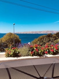 Ausblick von der überdachten Terrasse