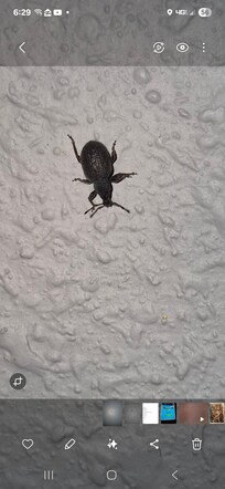 This guy was already checked into my room when I arrived!