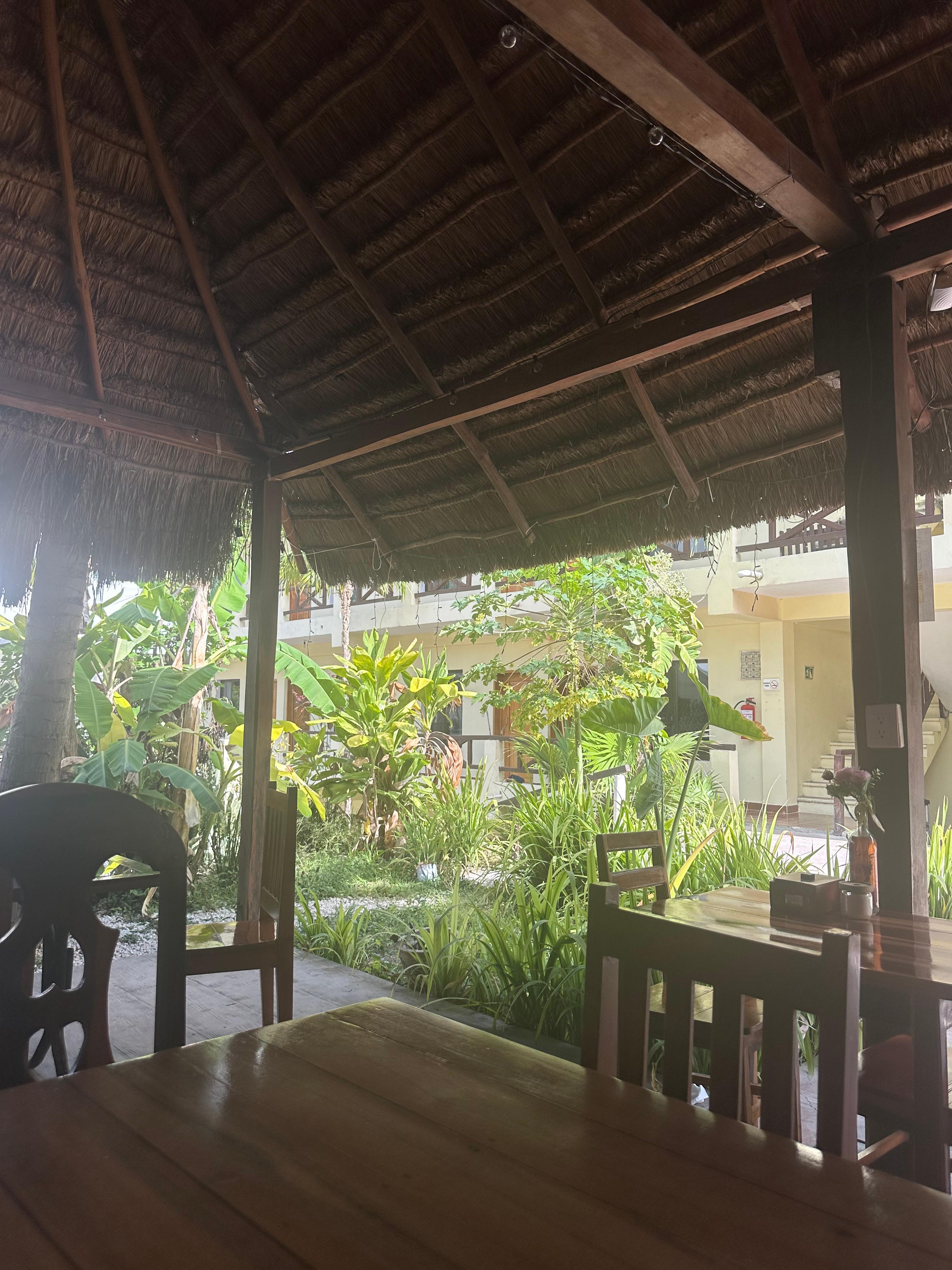 Restaurant ombragé 