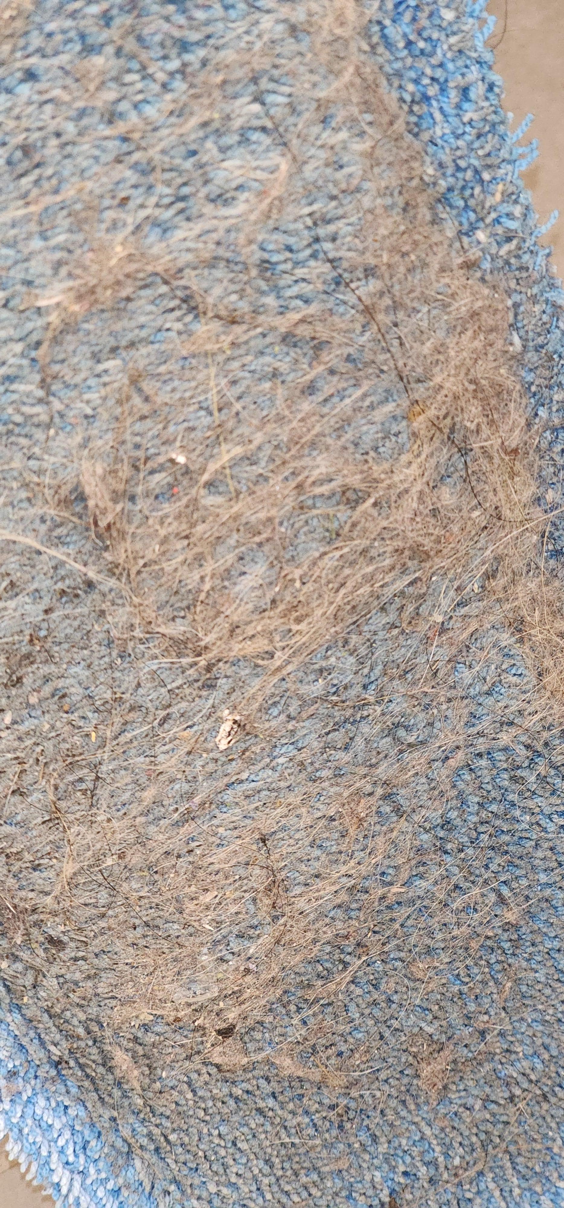 Nothing to see here except the floors that I swept the day i checked in when i could not handle how much dust and dog hair I saw but housekeeping was too busy
To be sure I checked into a clean room due to the number of checkouts????yikes!eeeek! What?