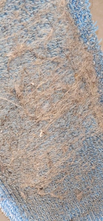 Nothing to see here except the floors that I swept the day i checked in when i could not handle how much dust and dog hair I saw but housekeeping was too busy
To be sure I checked into a clean room due to the number of checkouts????yikes!eeeek! What?