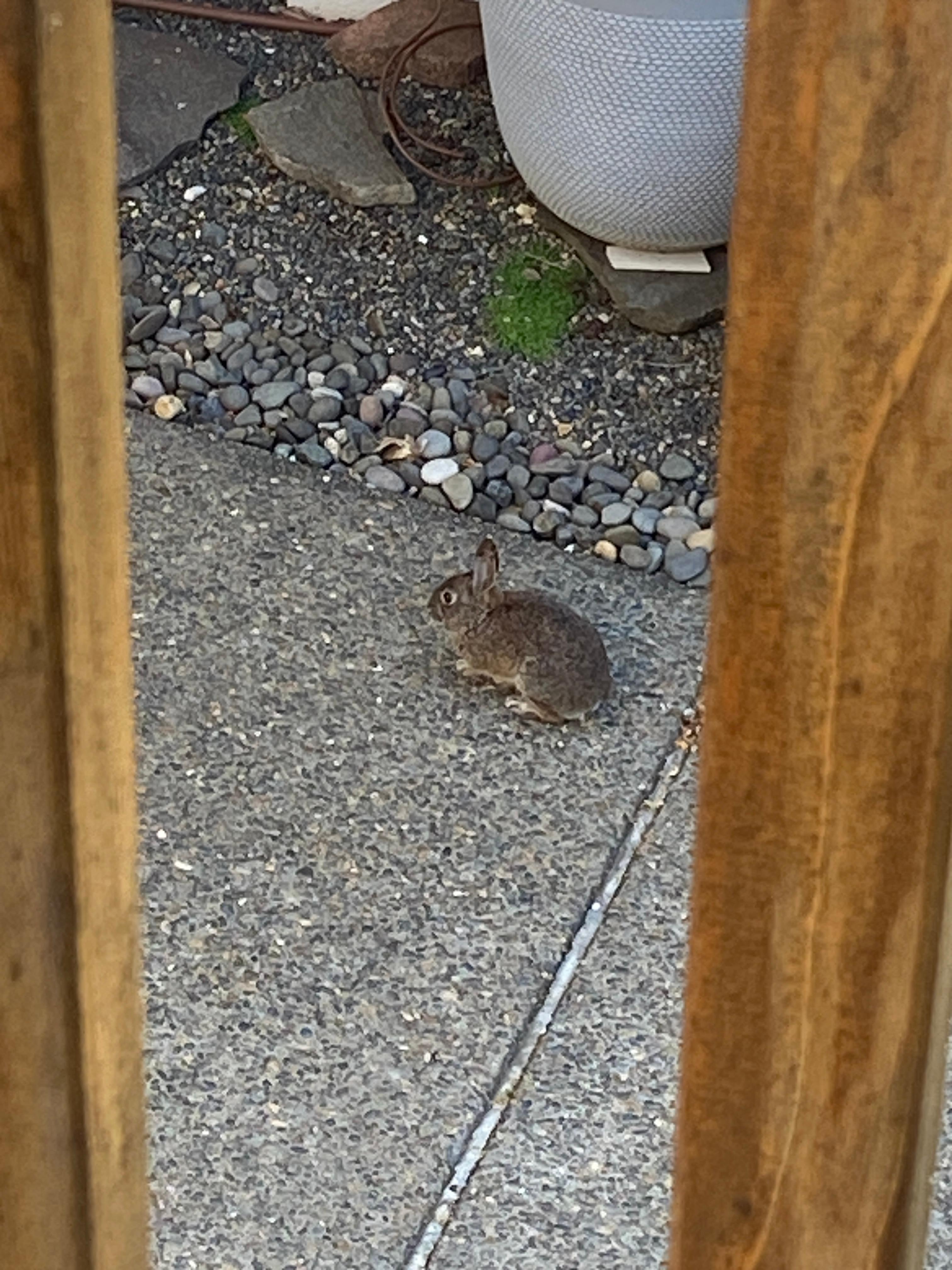 A visitor 🙂