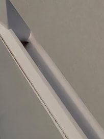 Cockroach in the handle of the fridge