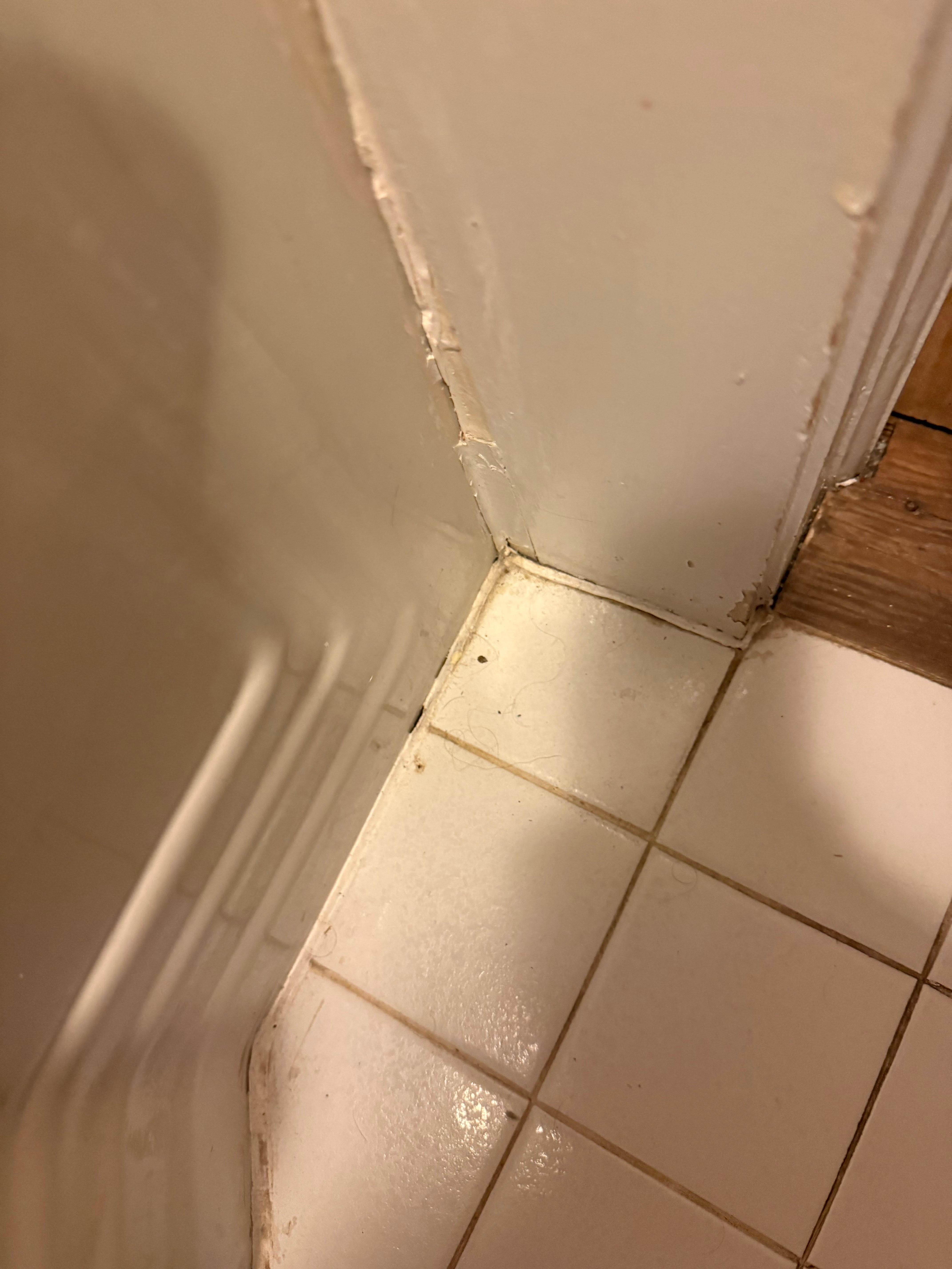 dirty floor, mold, hair on the bathroom wall