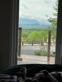 View from the primary bedroom !