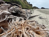 Places on the beach