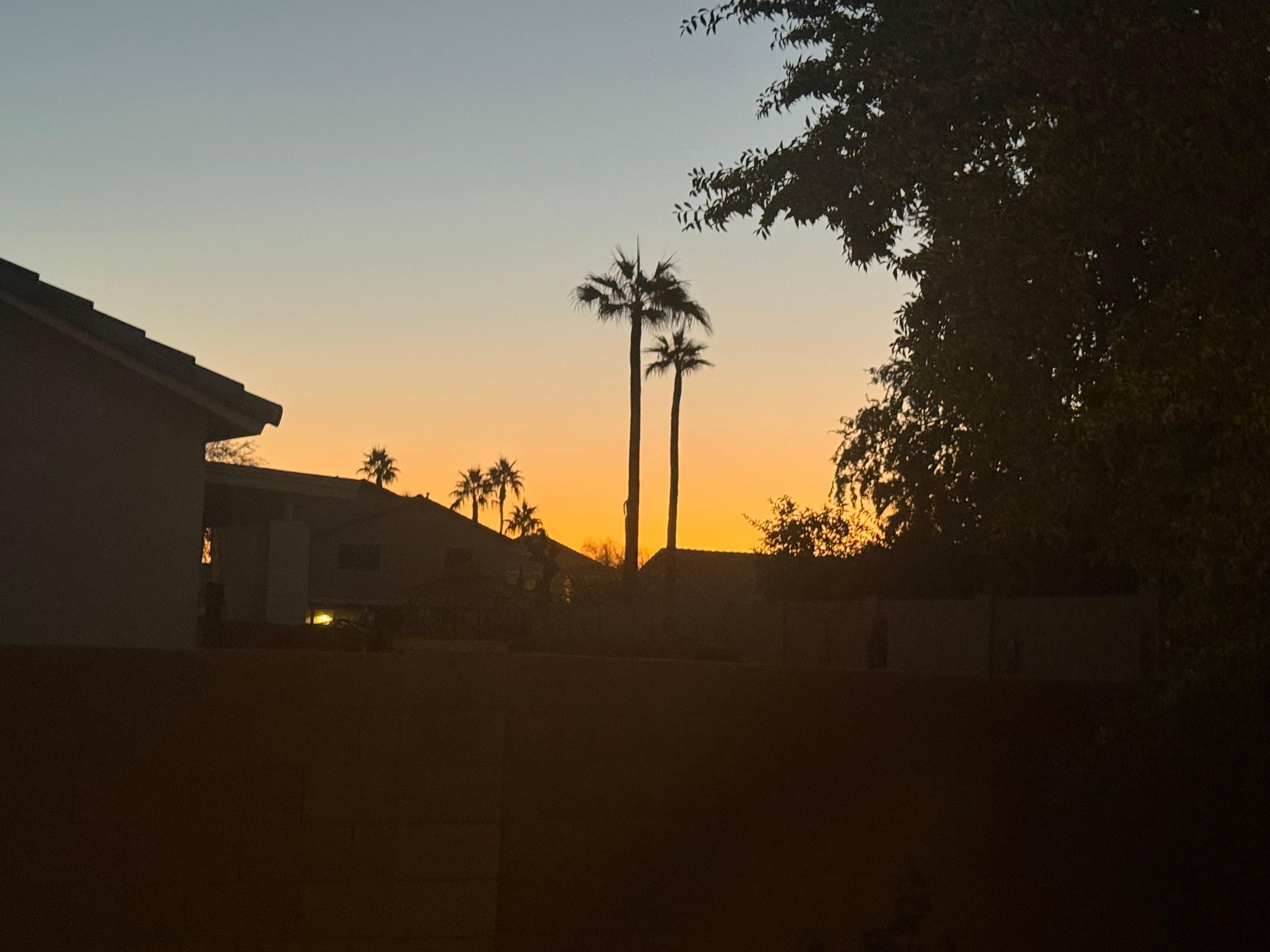 A last look out on our last night!