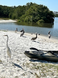 Pier, fishing and kayaking was so much fun!
