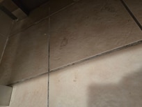 Not mopped in bathroom