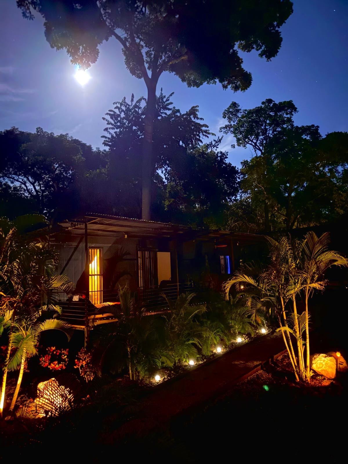 Magical evening under the stars!