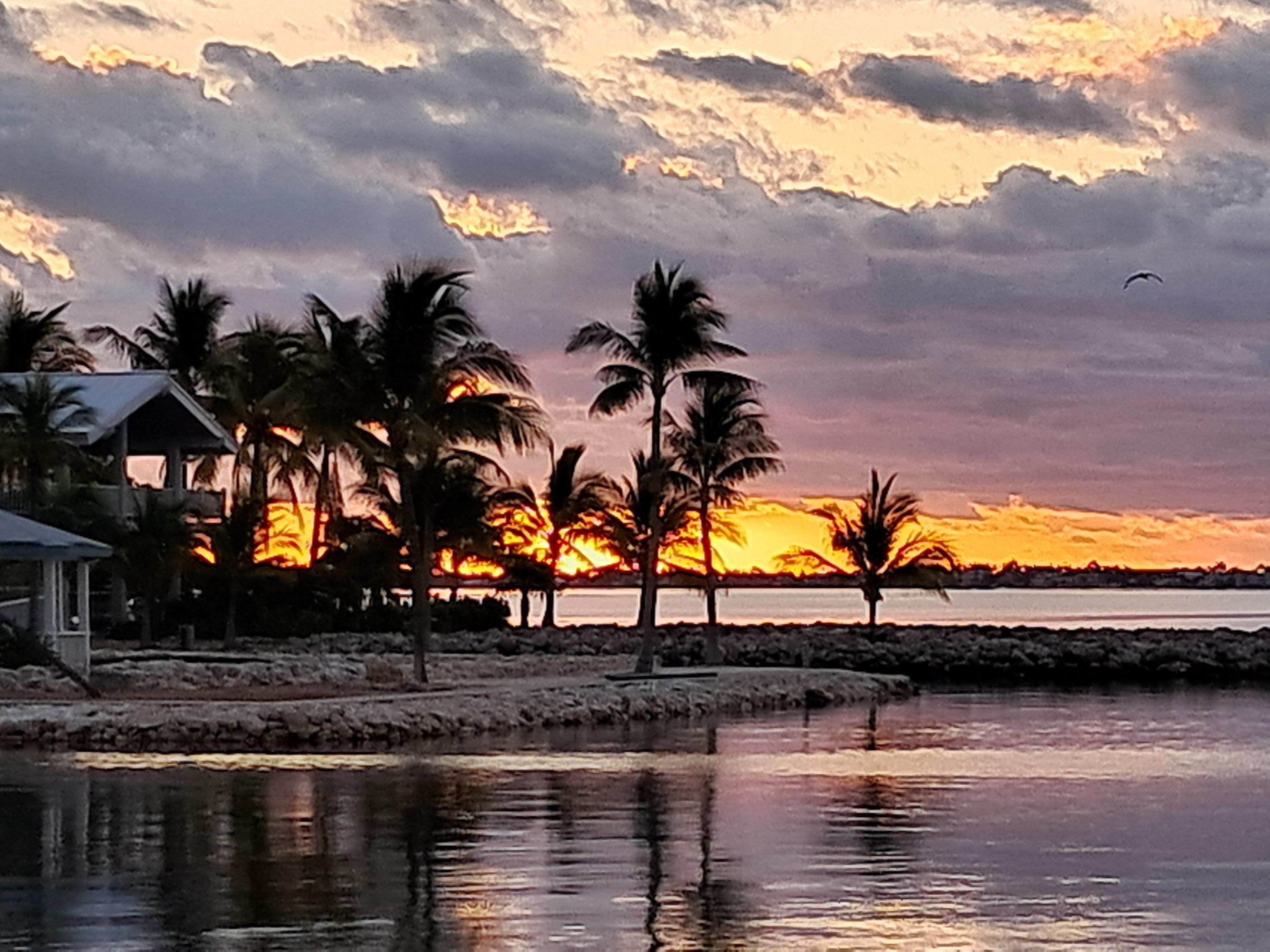 Sunrise