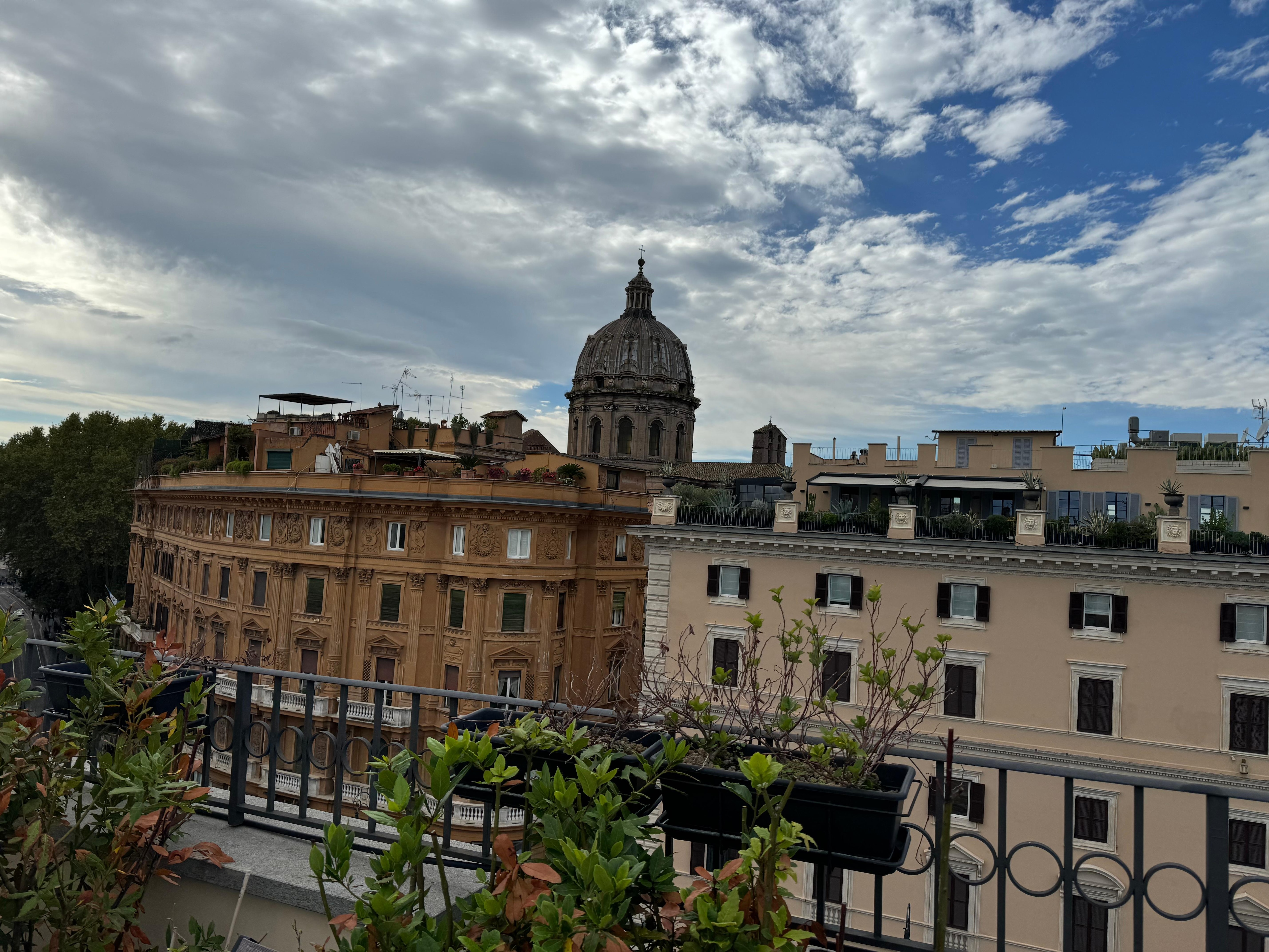 View from the rooftop!