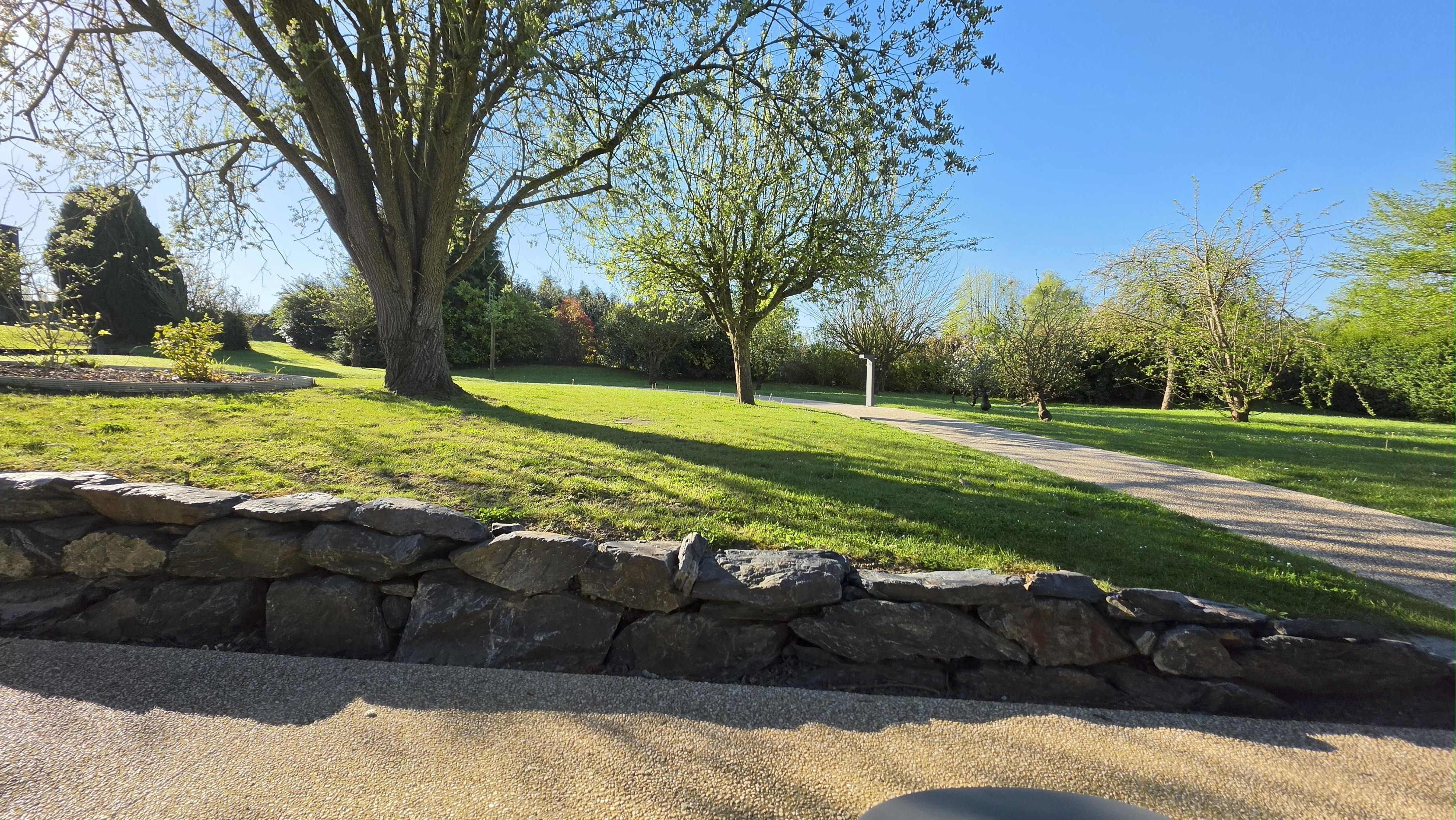 Garden in front of the room