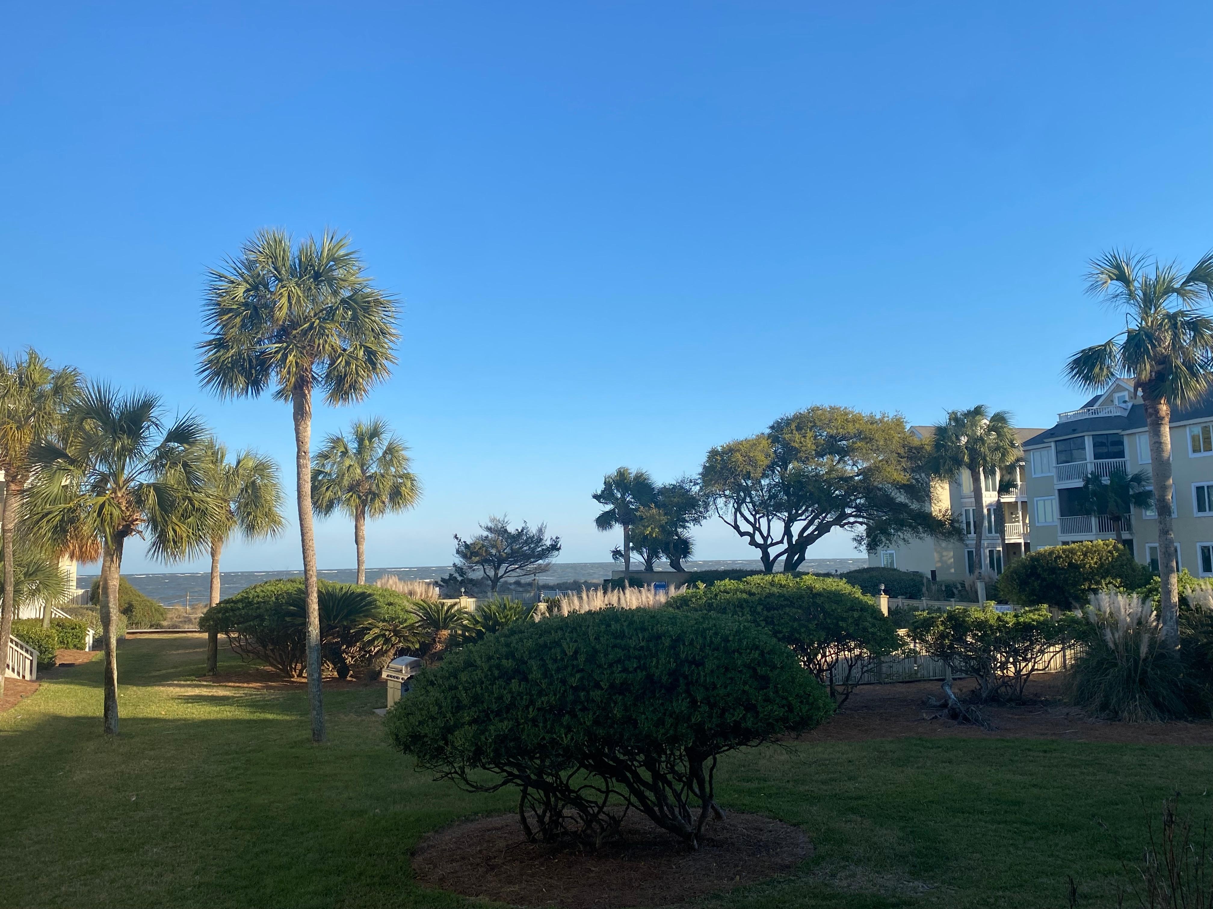 View from the screened in porch. 