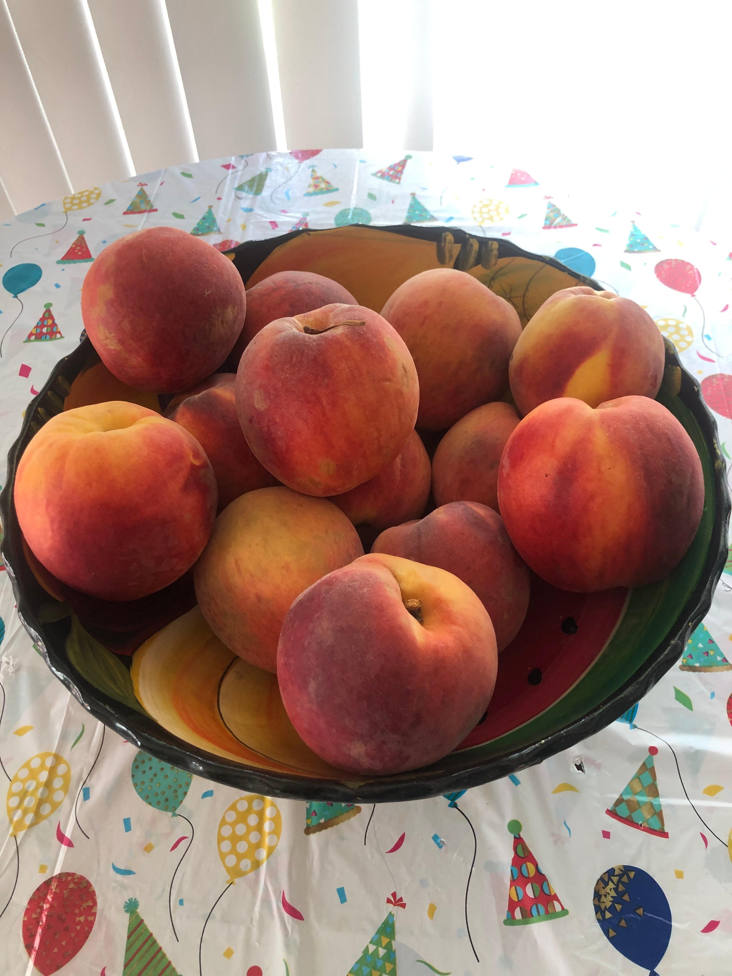 Went Peach pickin’ in Georgia