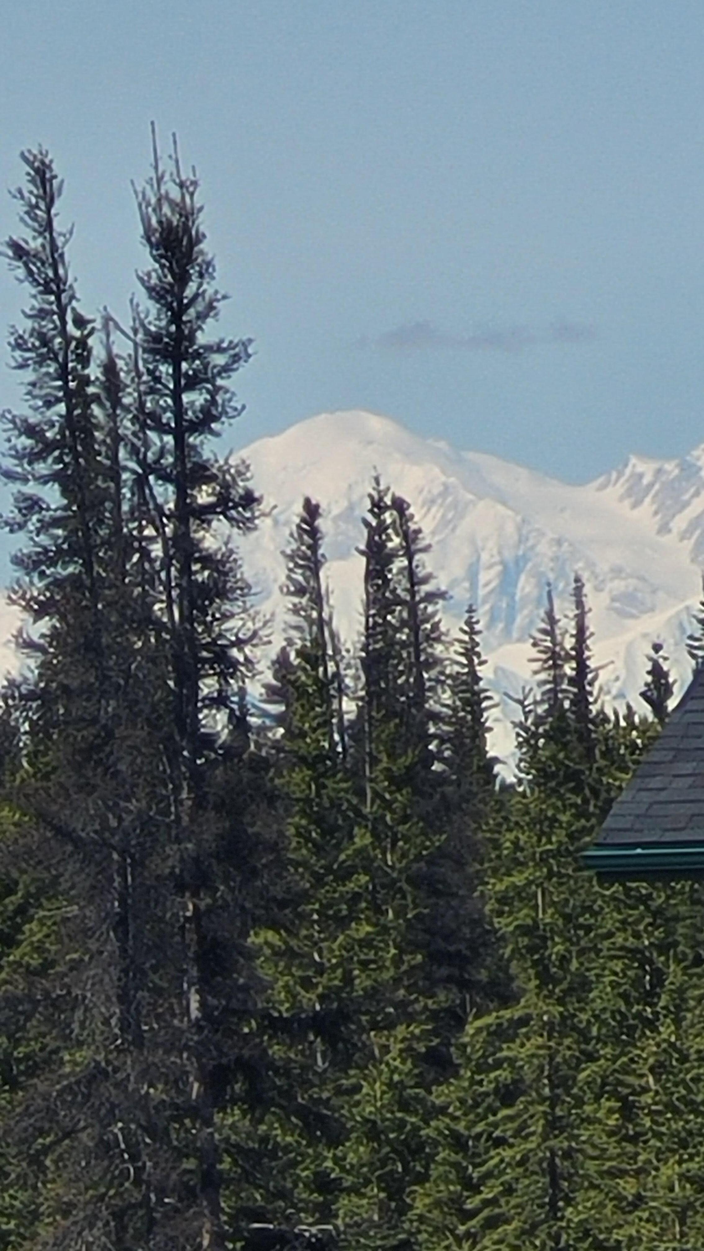 View of Denali from the Chalet.
