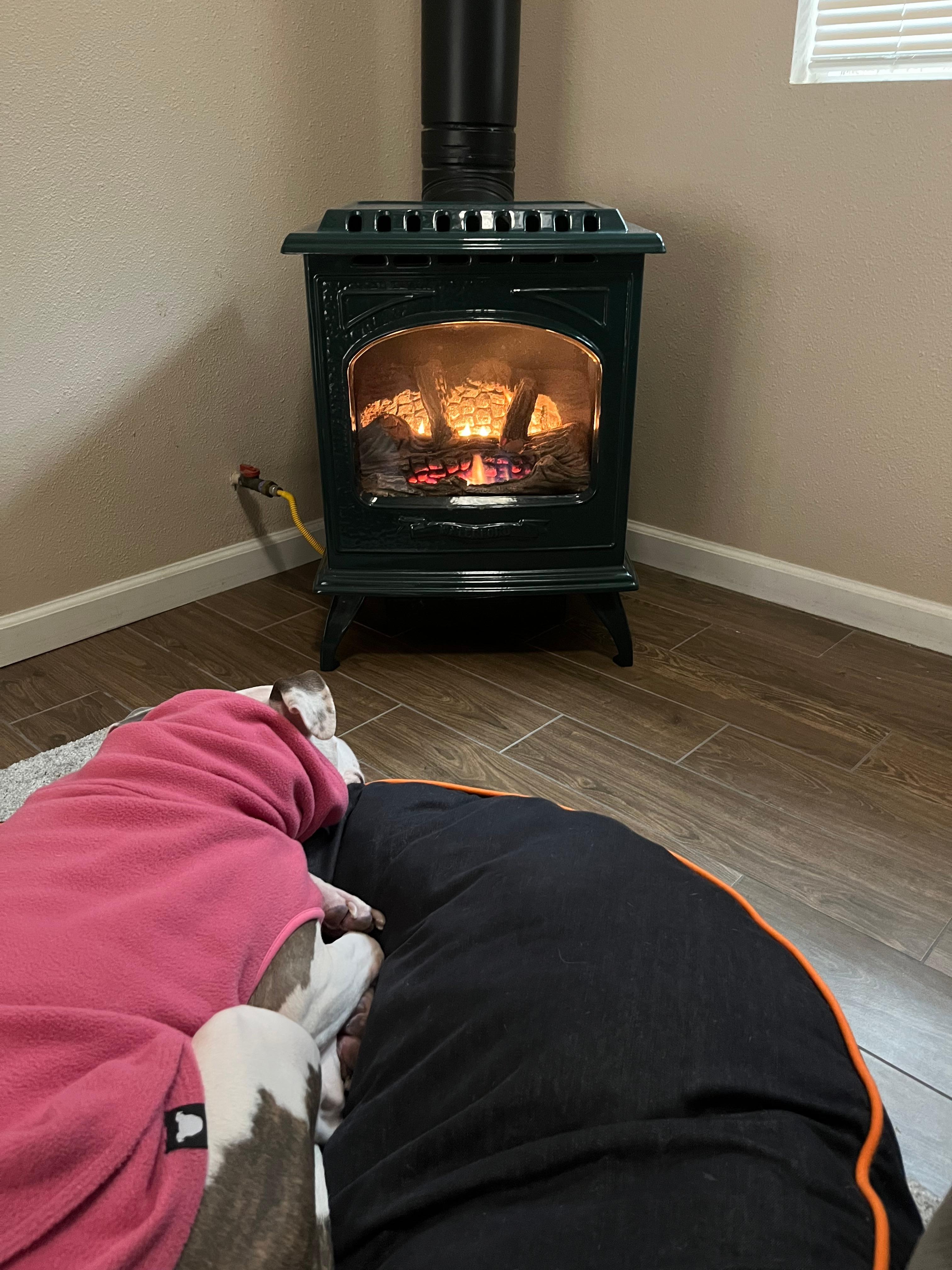 Snoozing in front of the stove. 