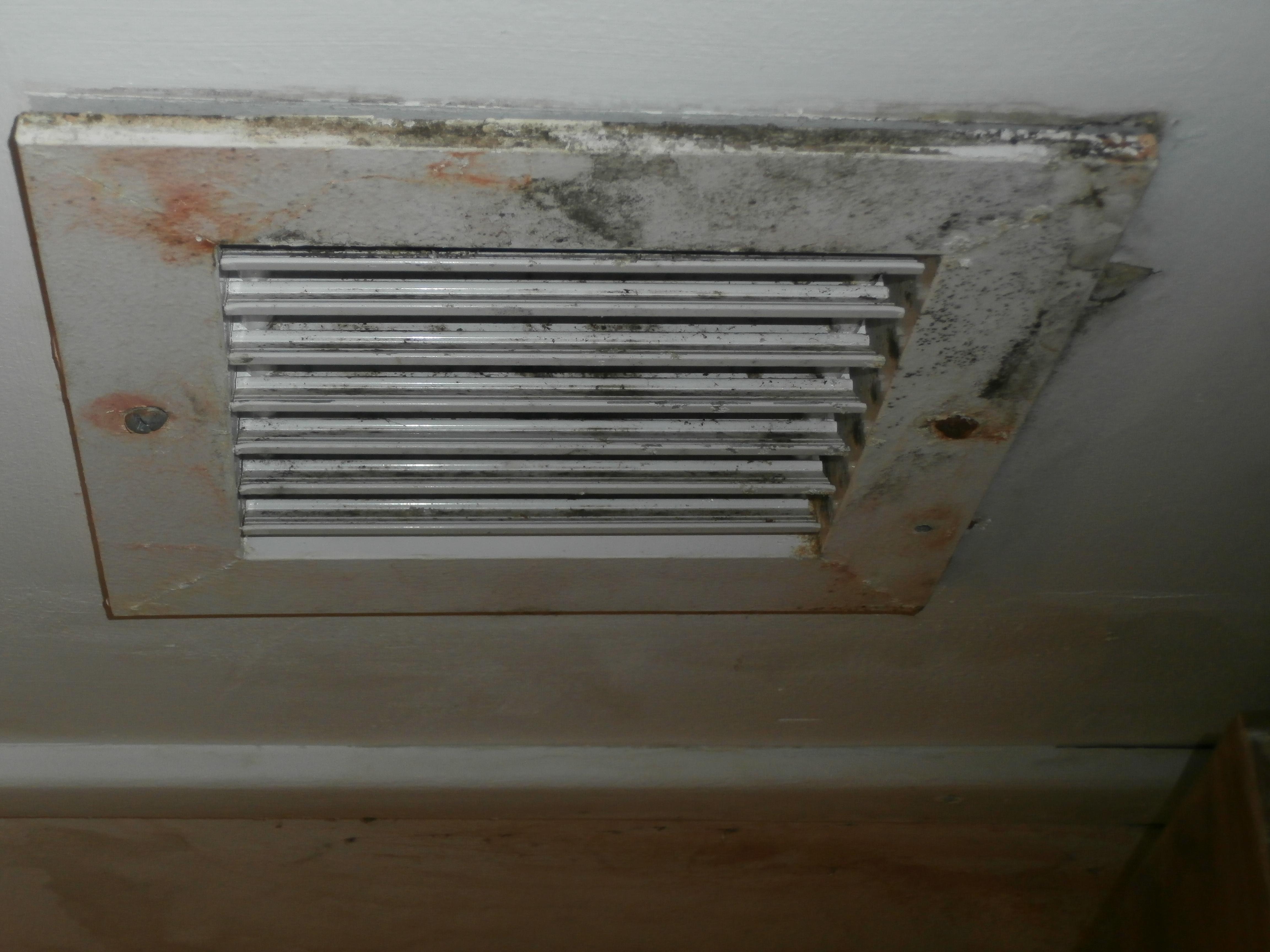 Mold from HVAC intake vent.