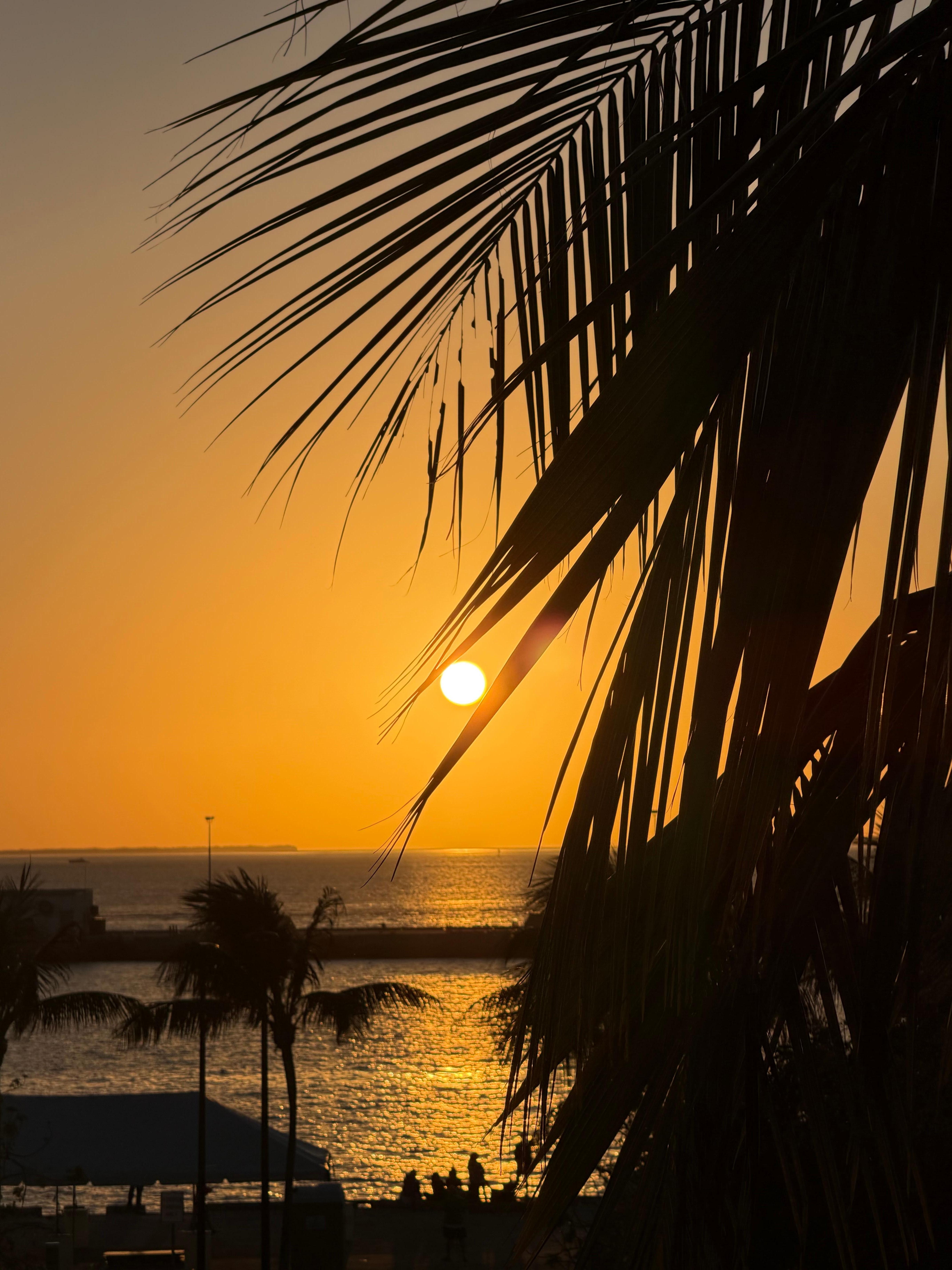 Sunset from 3rd floor balcony.