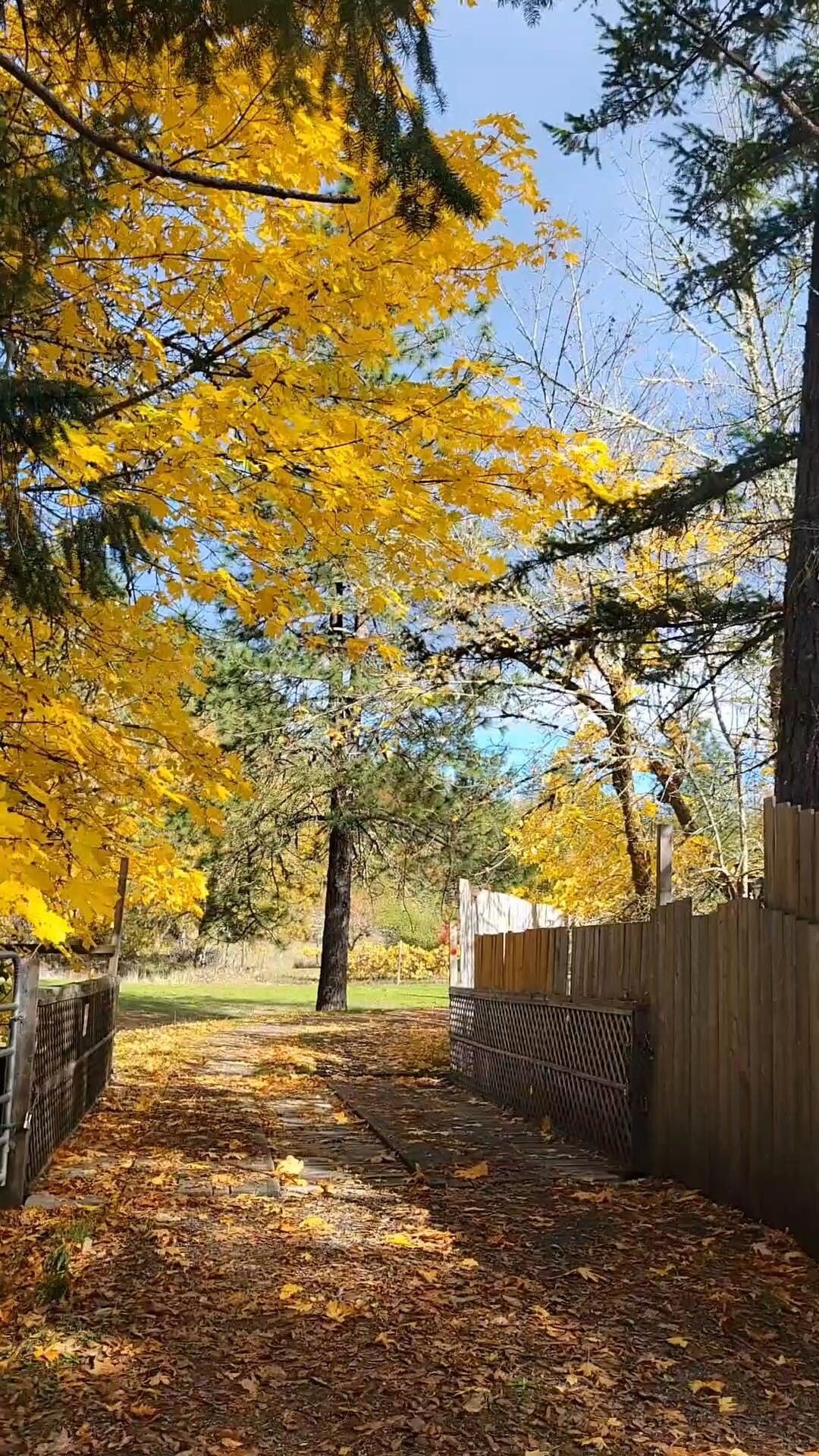 Drive up to hobbit house.
