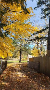 Drive up to hobbit house.