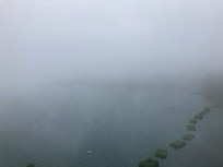 小陽台看出去的早上7點