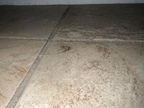 Hair on the bathroom floor