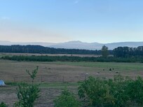 Fields