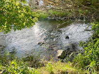 View in backyard