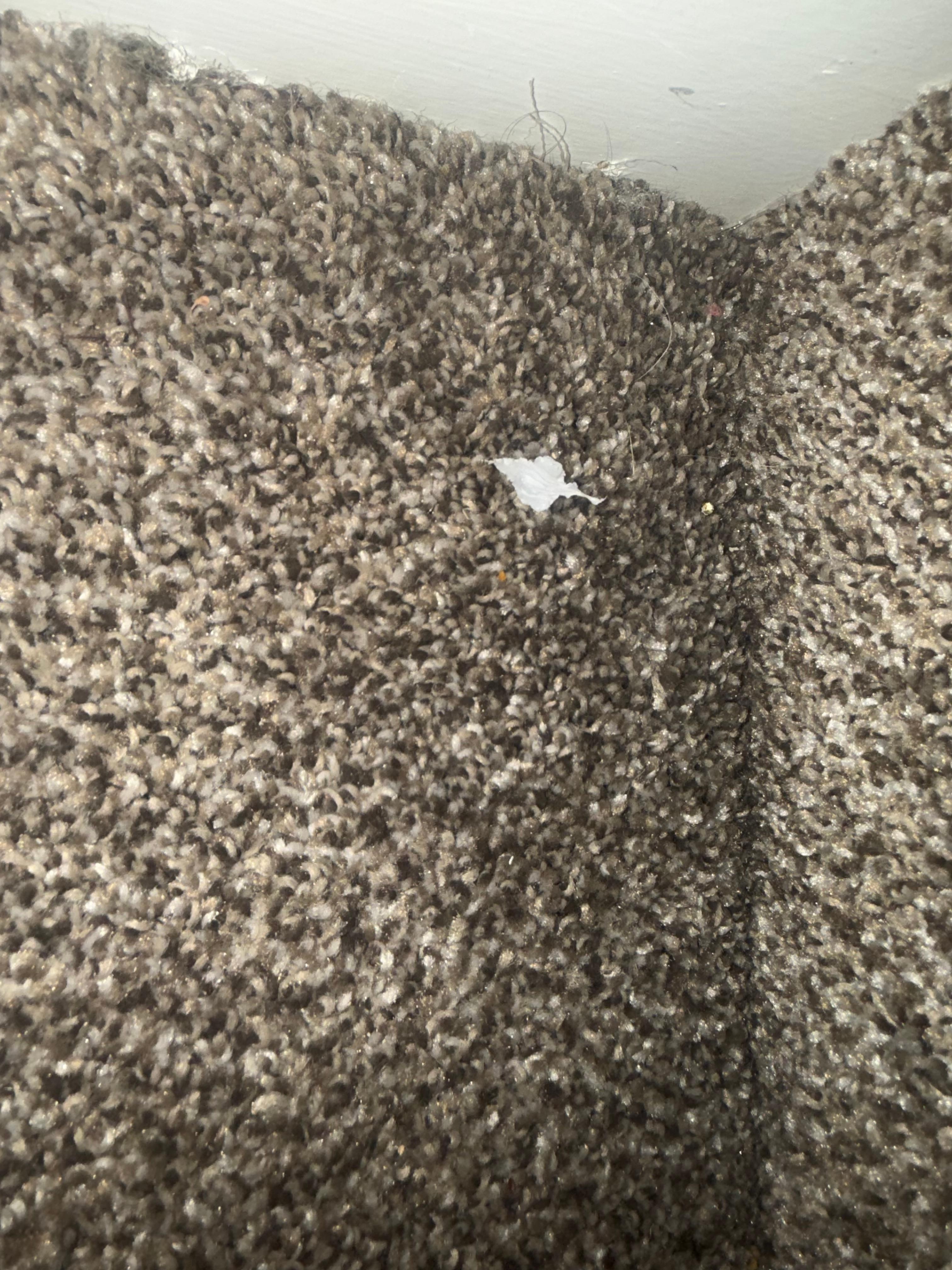 Another picture of debris on the floor. 