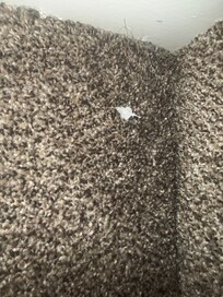 Another picture of debris on the floor.