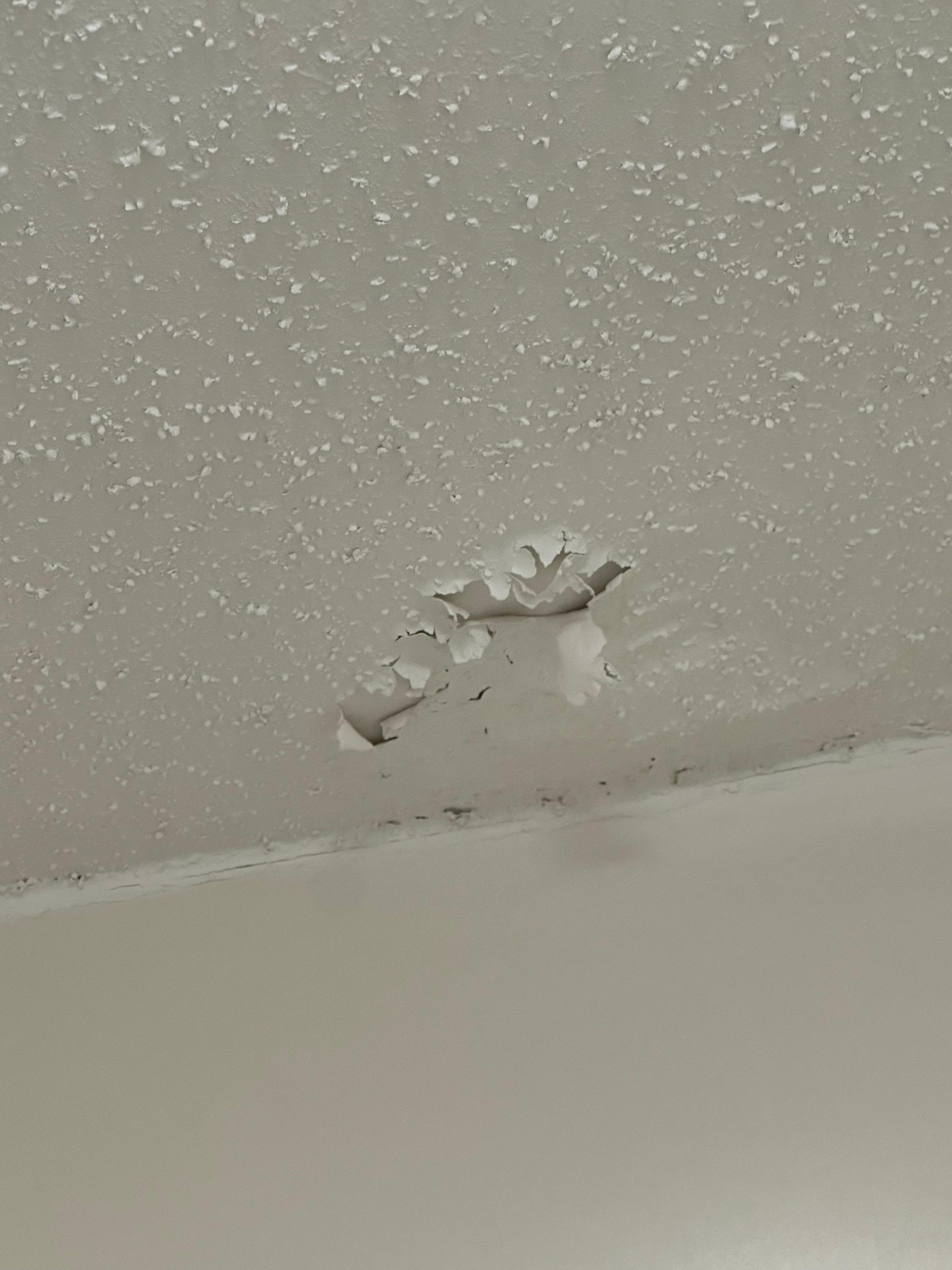 Ceiling peeling