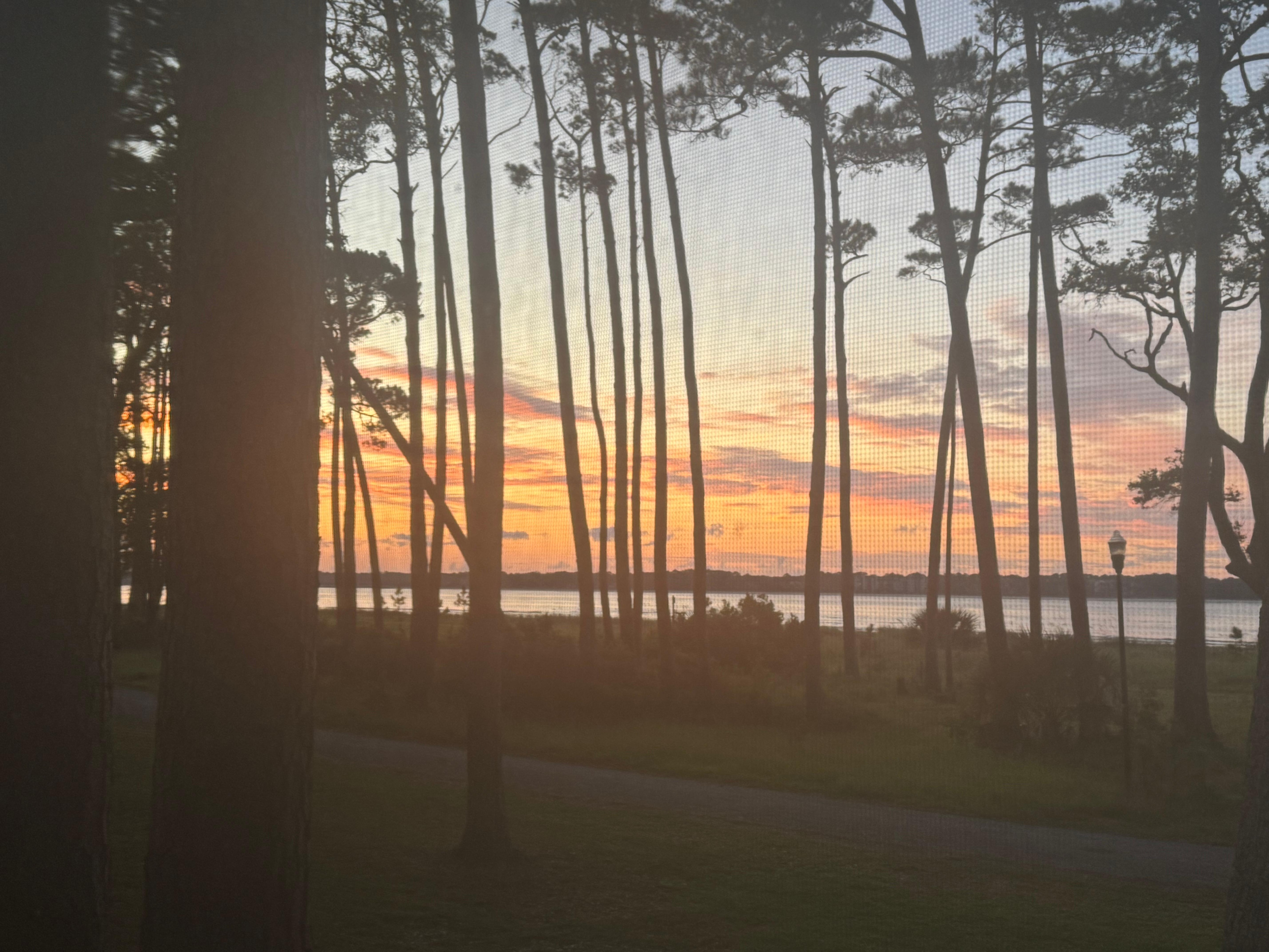 Picture from the back porch of sunrise.