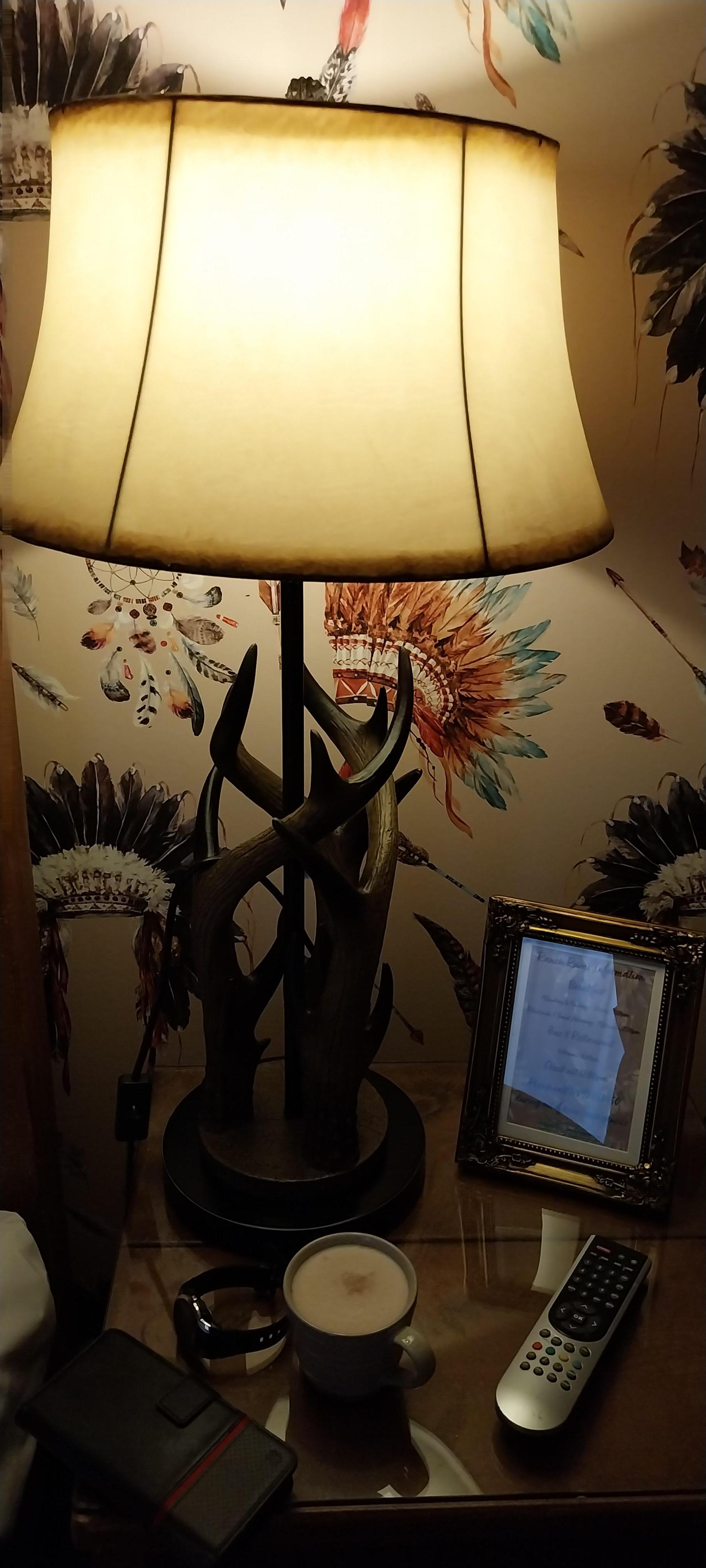 One of the antler lamps