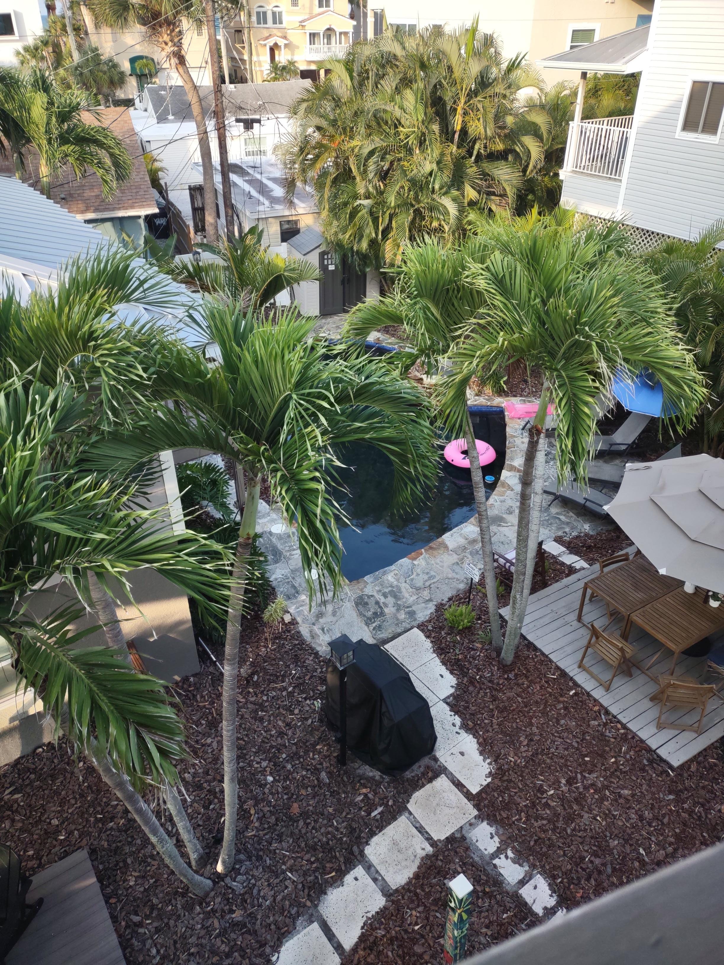 A tropical paradise
