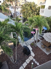 A tropical paradise